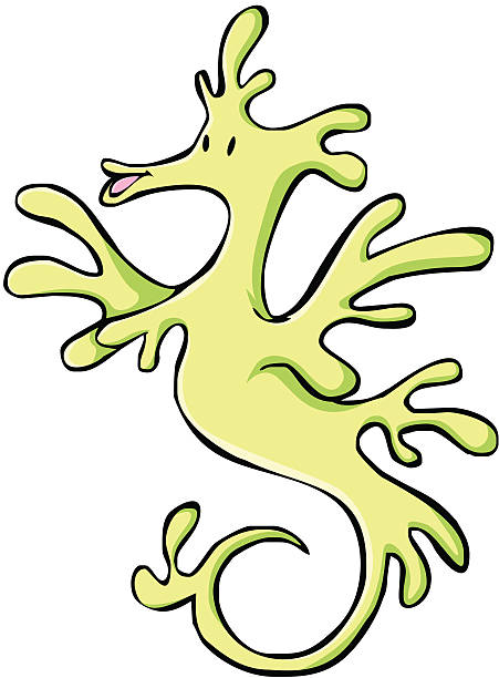 Leafy Seadragon clipart #11, Download drawings