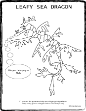 Leafy Seadragon coloring #2, Download drawings