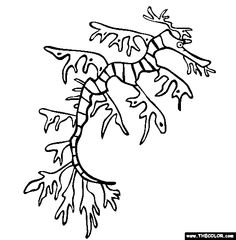 Leafy Seadragon svg #10, Download drawings