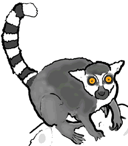 Lemur clipart #19, Download drawings