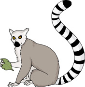 Lemur clipart #11, Download drawings