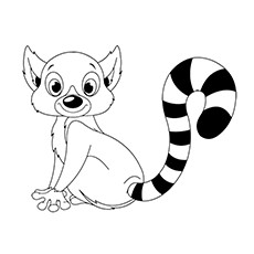 Ring-tailed Lemur coloring #9, Download drawings