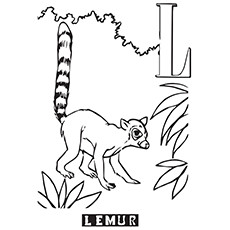 Lemur coloring #10, Download drawings