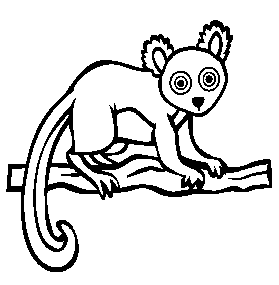 Lemur coloring #17, Download drawings