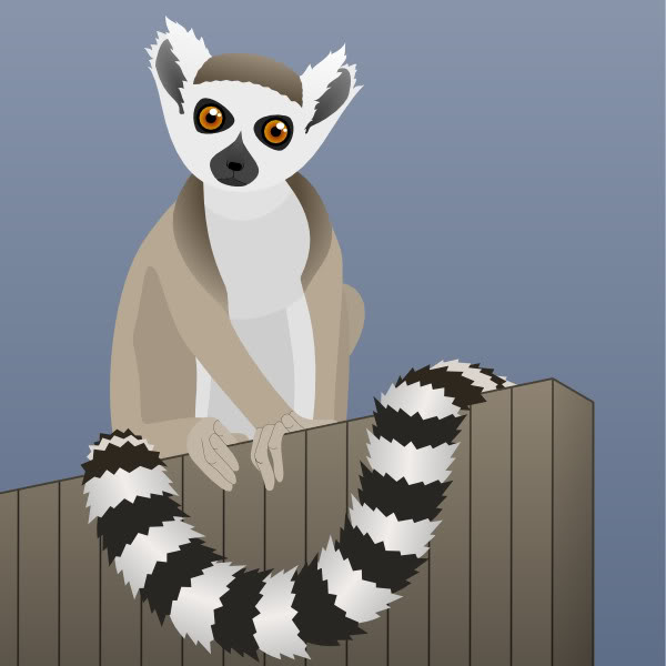 Ring-tailed Lemur svg #20, Download drawings