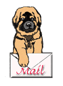 Leonberger clipart #5, Download drawings