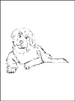 Leonberger coloring #4, Download drawings