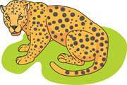 Leopard clipart #18, Download drawings
