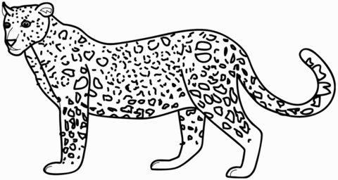 Leopard coloring #3, Download drawings