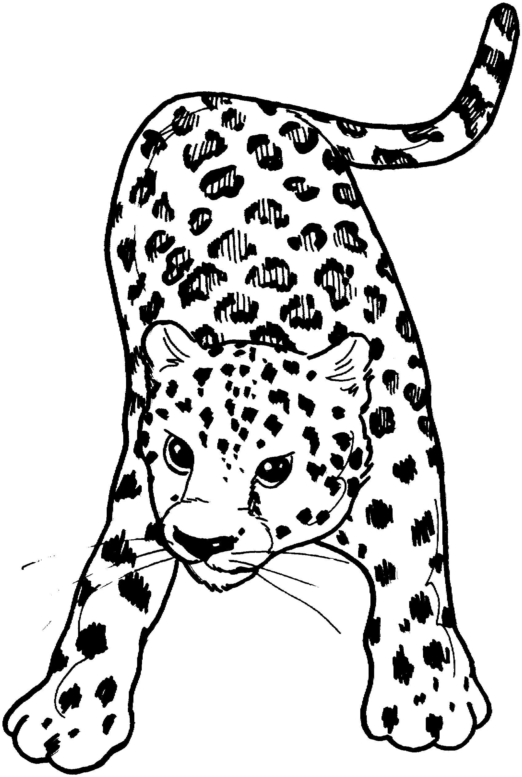 Leopard coloring #9, Download drawings