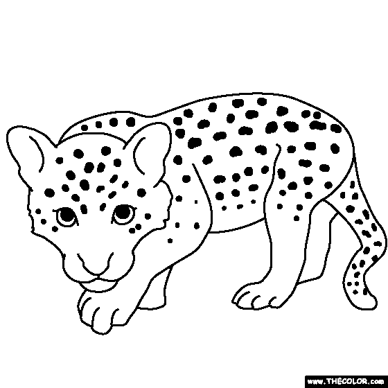 Leopard coloring #20, Download drawings