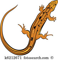Leopard Gecko clipart #7, Download drawings