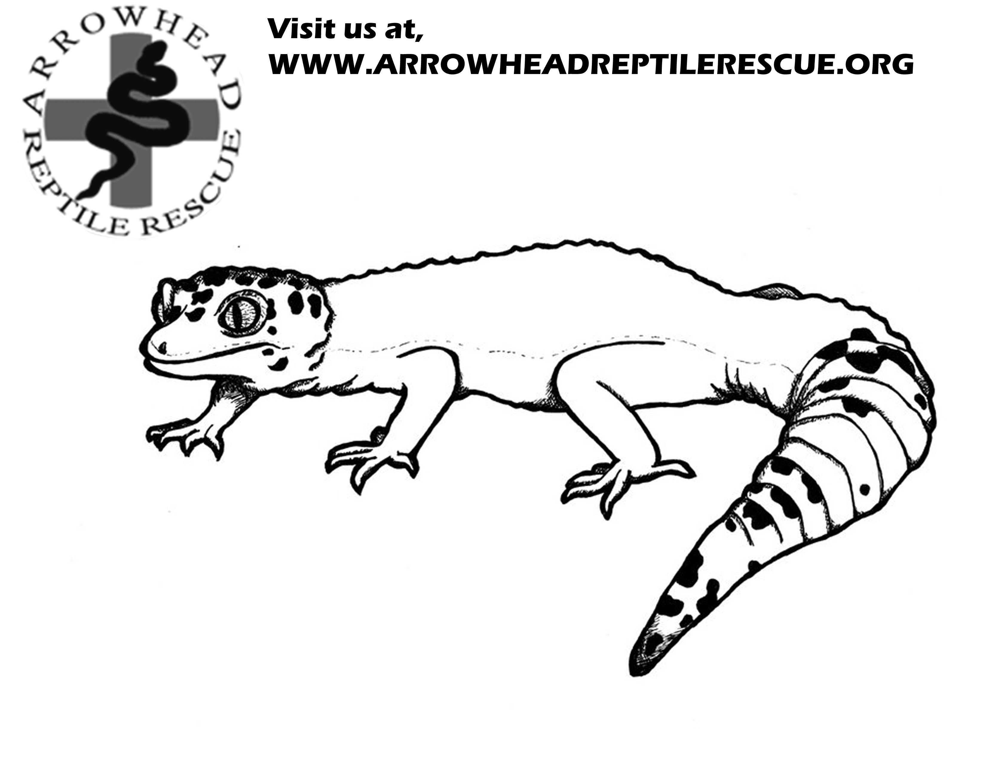 Leopard Lizard coloring #7, Download drawings