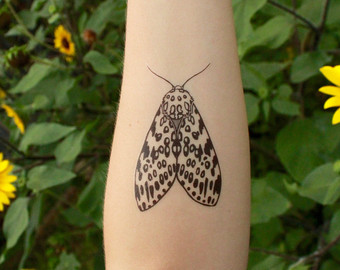 Leopard Moth svg #9, Download drawings