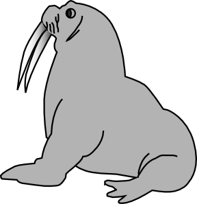 Elephant Seal svg #20, Download drawings