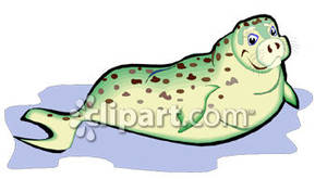 Leopard Seal clipart #19, Download drawings