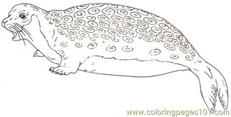 Leopard Seal coloring #15, Download drawings