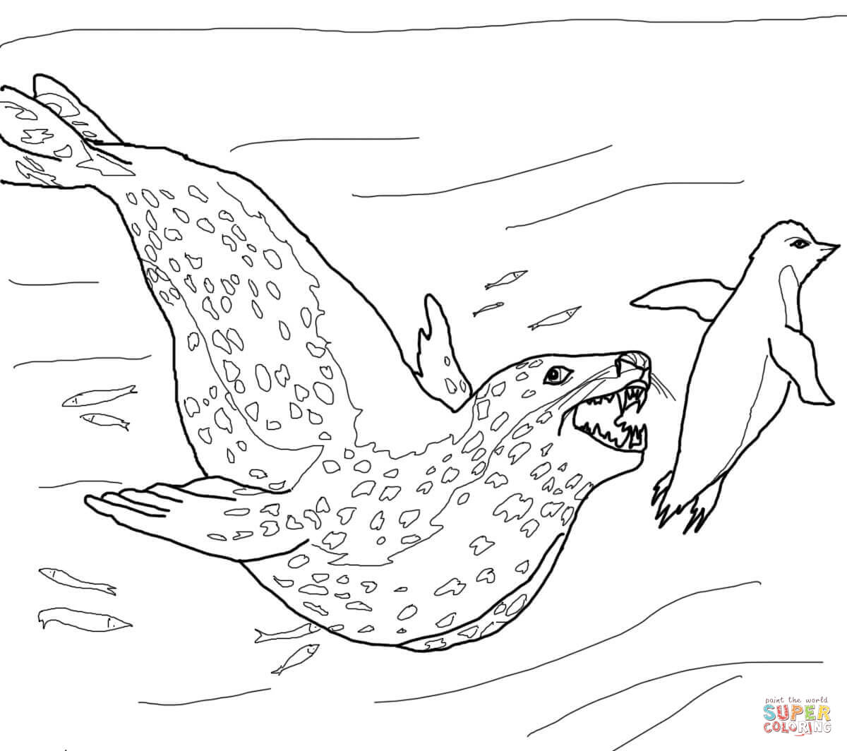 Leopard Seal coloring #20, Download drawings