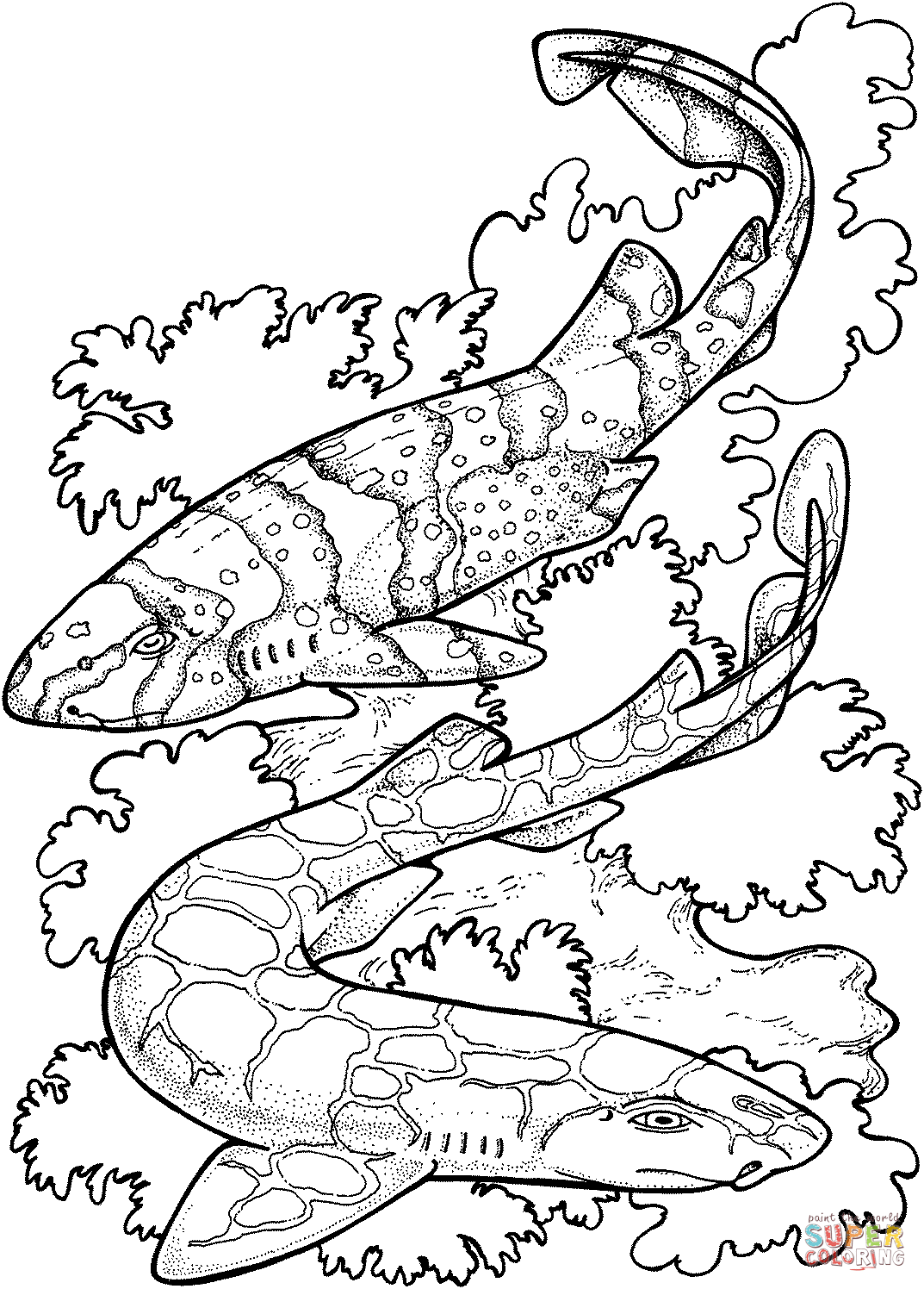 Leopard Shark coloring #7, Download drawings
