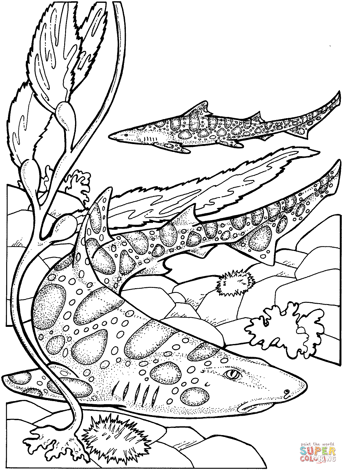 Leopard Shark coloring #18, Download drawings