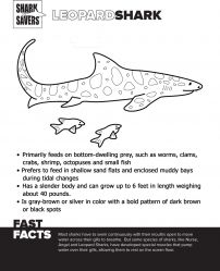 Leopard Shark coloring #17, Download drawings