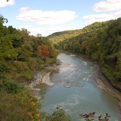 Letchworth State Park svg #3, Download drawings
