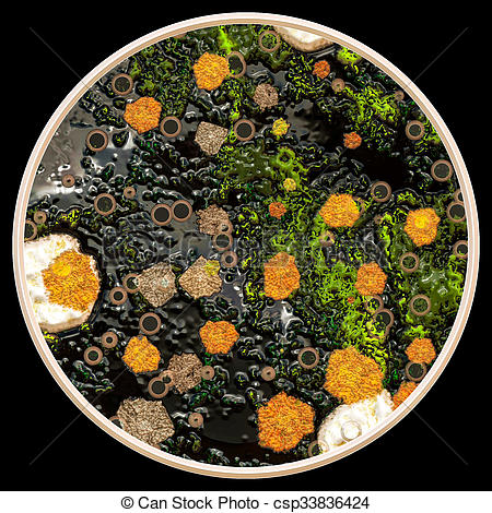 Lichen clipart #6, Download drawings
