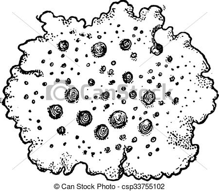 Lichen clipart #19, Download drawings