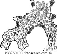 Lichen clipart #9, Download drawings