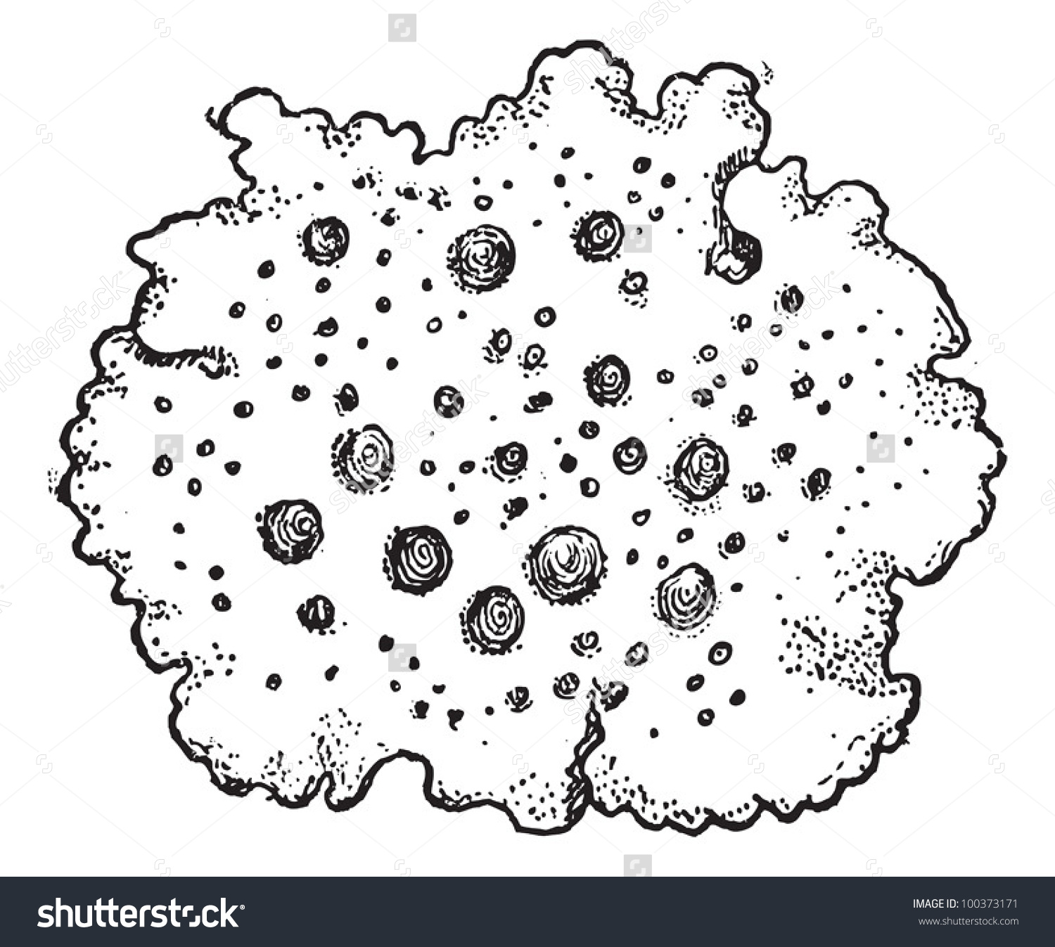 Lichen clipart #2, Download drawings
