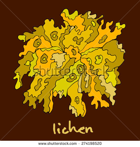 Lichen clipart #3, Download drawings