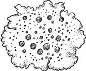 Lichens clipart #20, Download drawings