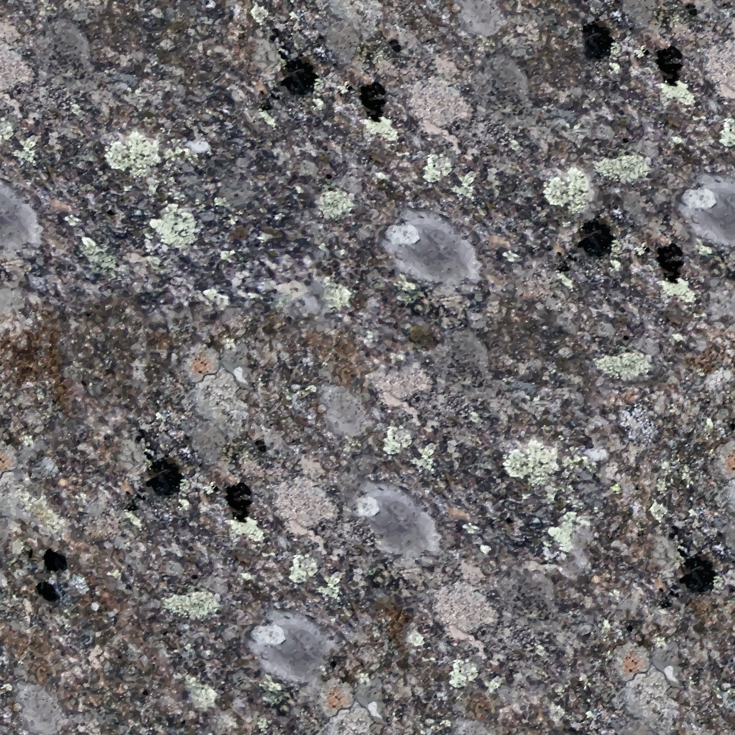 Lichens svg #3, Download drawings