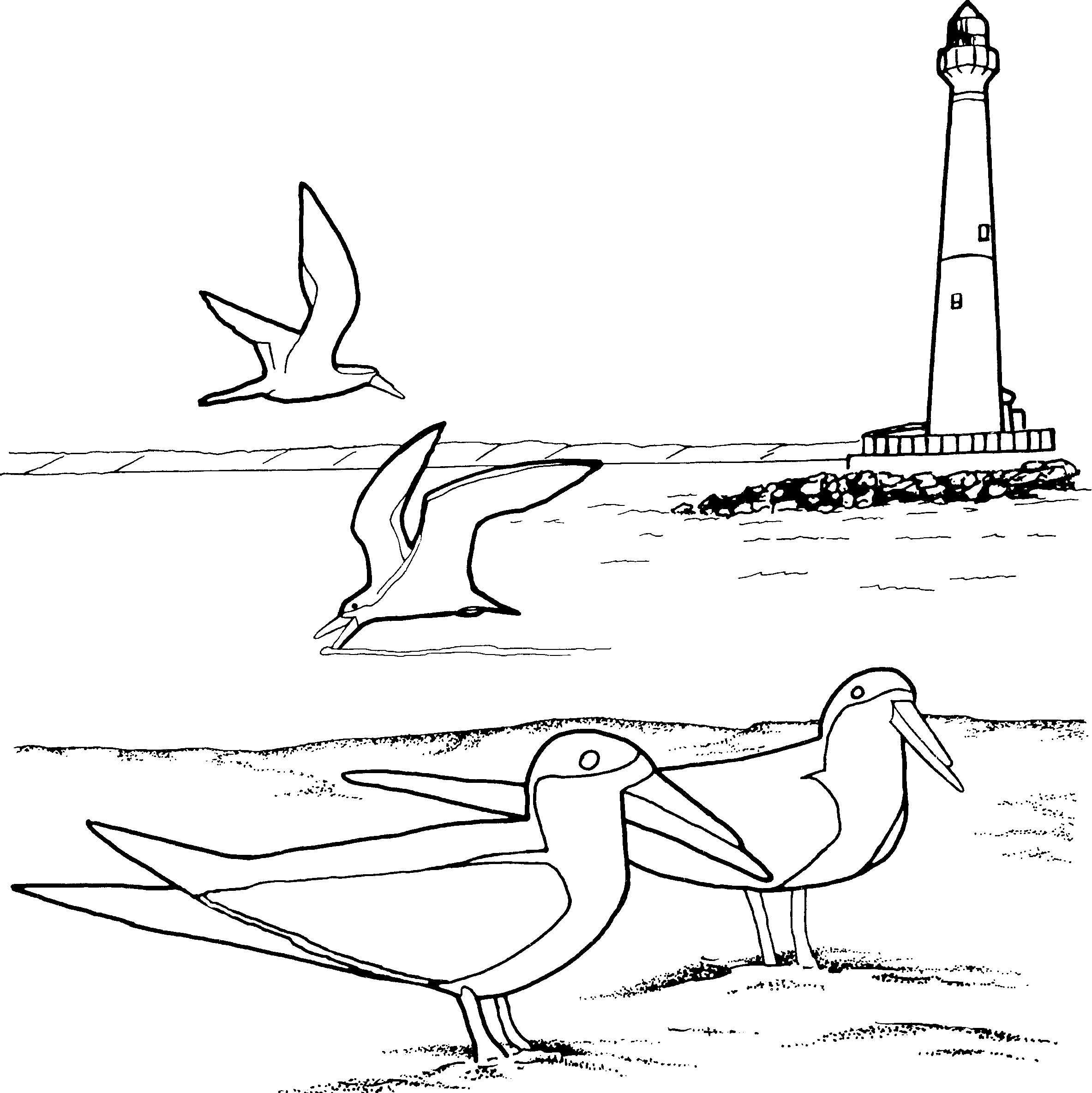 Lighthouse coloring #5, Download drawings