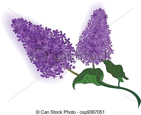 Lilac clipart #12, Download drawings