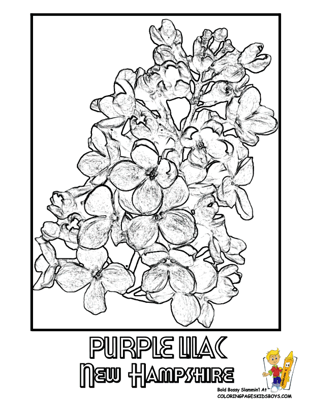 Purple Flower coloring #18, Download drawings