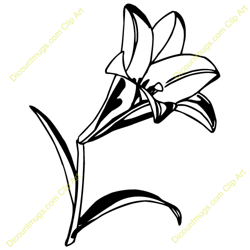 Lily clipart #6, Download drawings