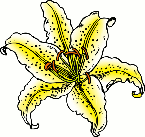 Lily clipart #17, Download drawings