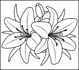 Lily coloring #3, Download drawings