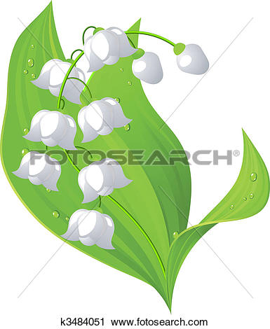 Lily Of The Valley clipart #17, Download drawings