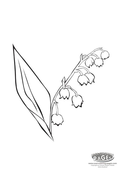 Download Lily Of The Valley coloring for free - Designlooter 2020 👨‍🎨