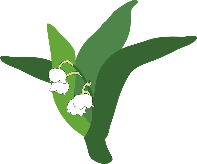 Lily Of The Valley svg #7, Download drawings