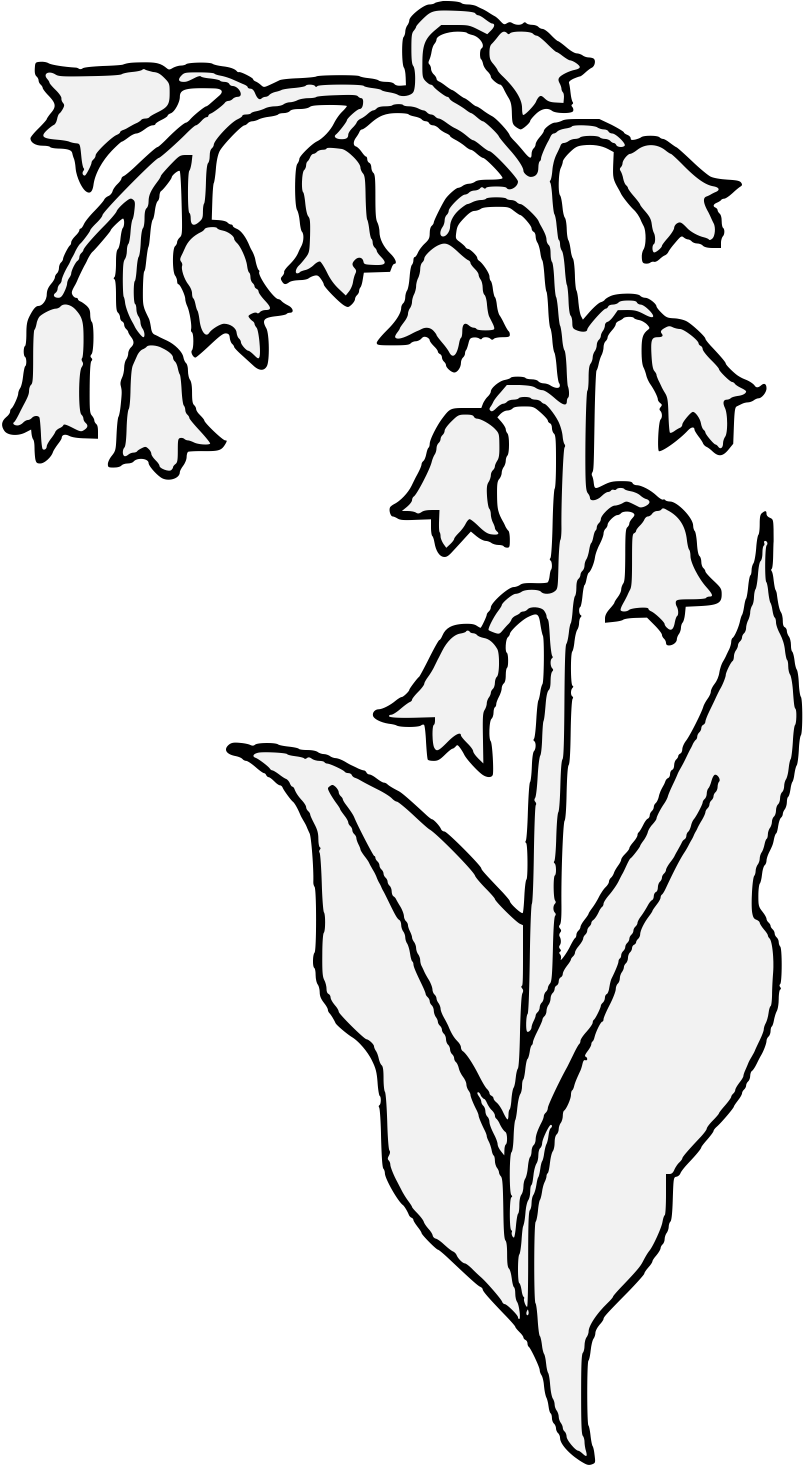 Lily Of The Valley svg #6, Download drawings