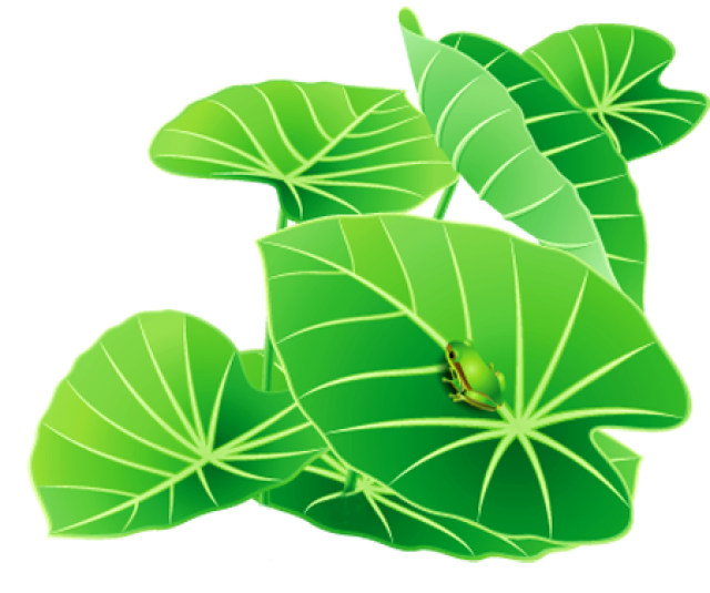 Lily Pad clipart #2, Download drawings