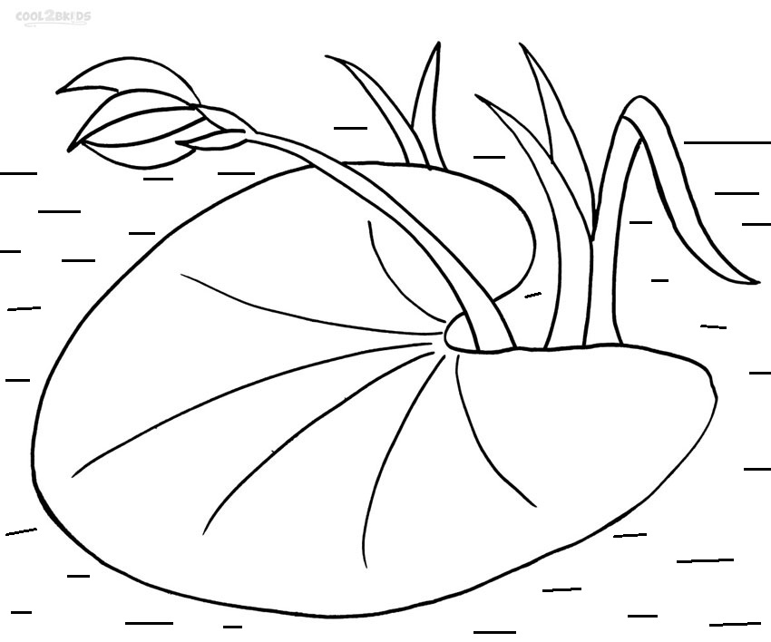 Lily Pad coloring #1, Download drawings