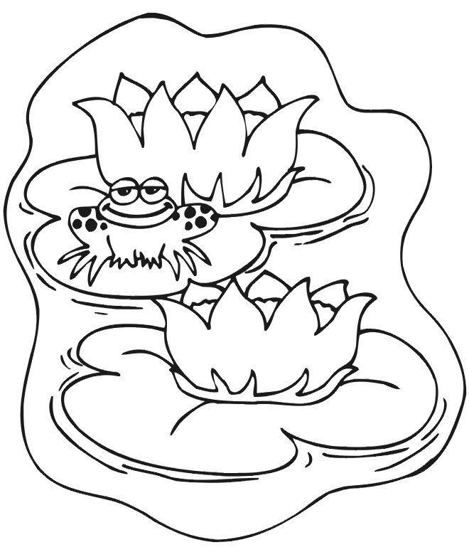Lily Pad coloring #8, Download drawings