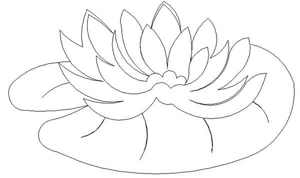 Lily Pad coloring #12, Download drawings