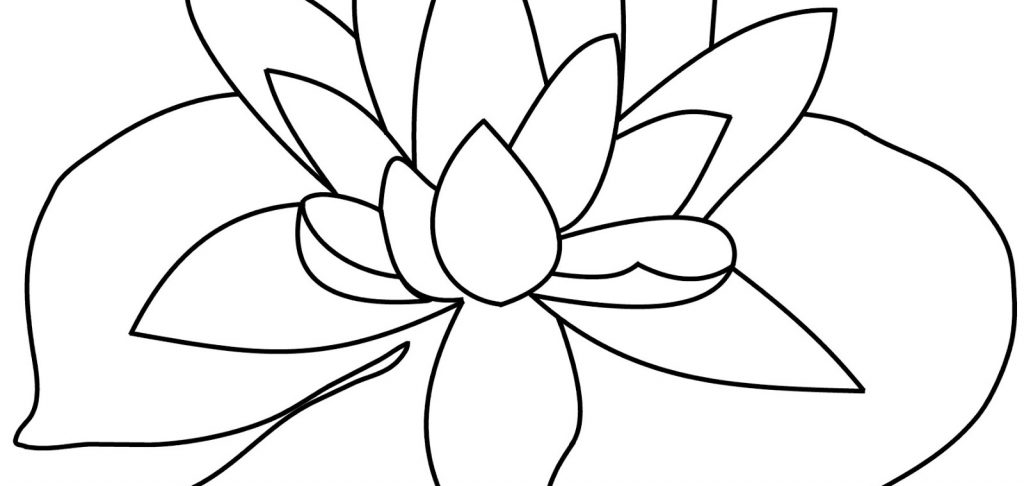 Lily Pad coloring #16, Download drawings