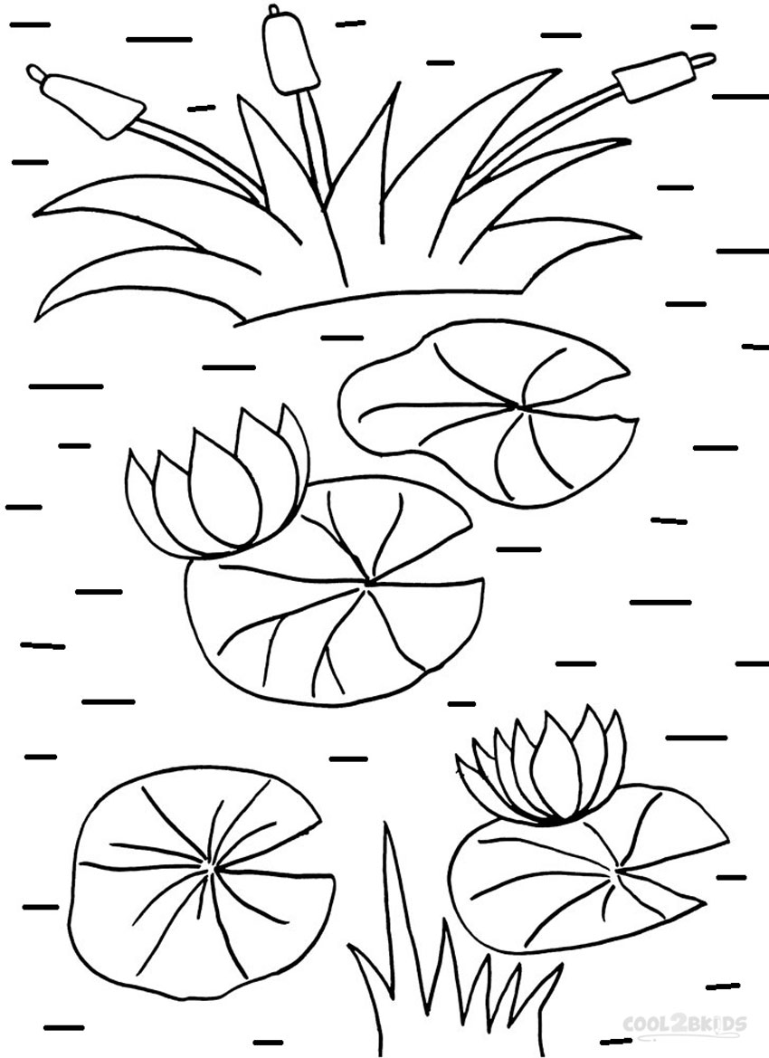 Lily Pad coloring #6, Download drawings