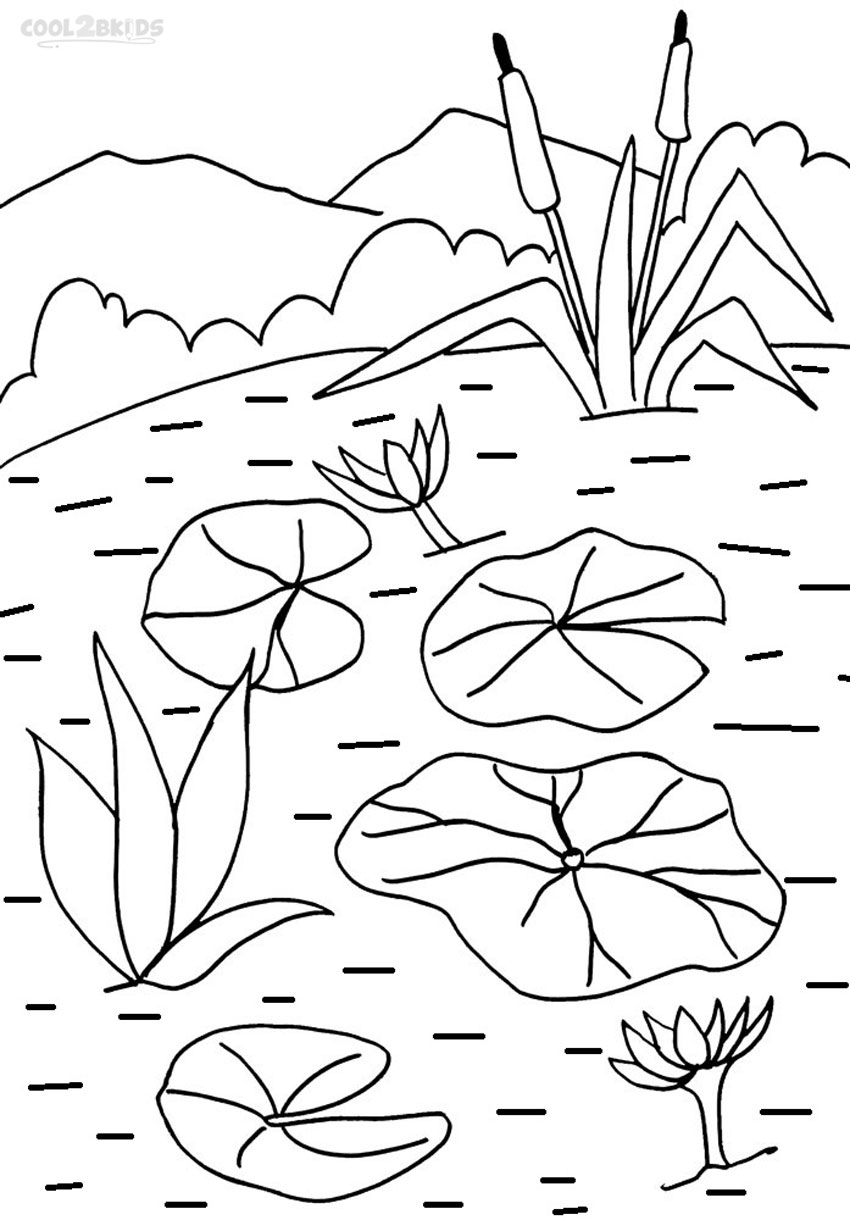 Lily Pad coloring #9, Download drawings